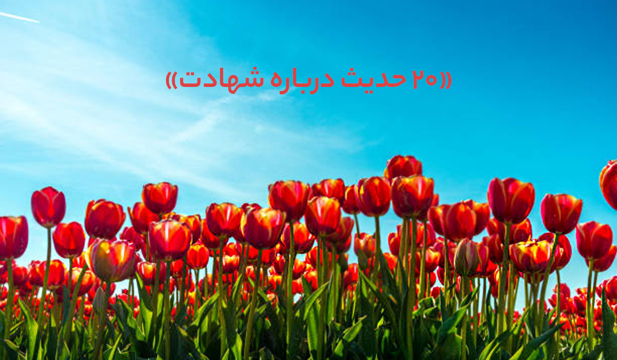 حدیث درباره شهادت