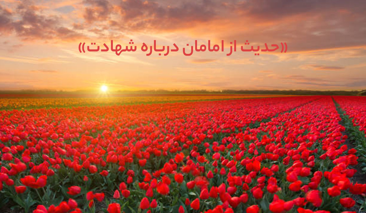حدیث درباره دفاع از وطن